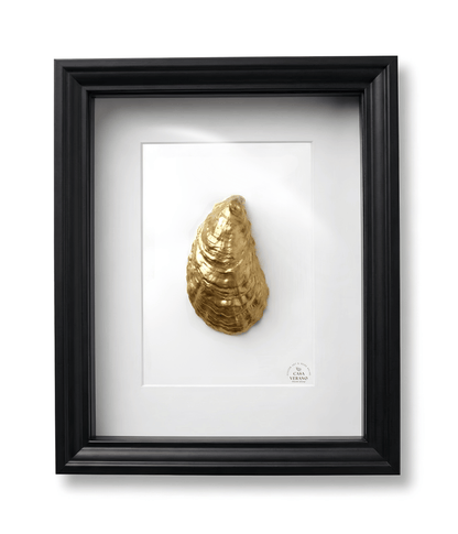 Verano No. 08 – Golden Oyster | Black Frame Profile